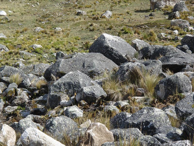 Illampu Trek (86).JPG